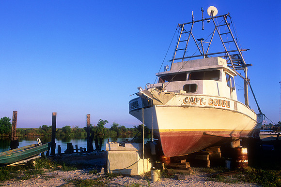 Irish Bayou, Louisiana  (2010)