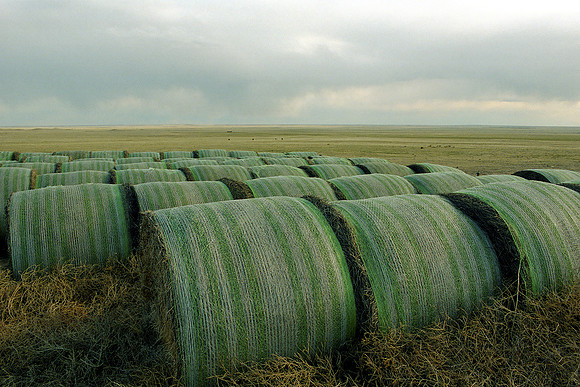 Pawnee Grasslands, Colorado (2014)