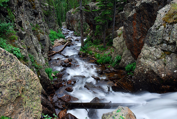 Fall River Road No  1, Rocky Mountain National Park, Colorado
