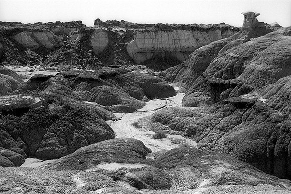 Bisti/De-Na-Zin Wilderness