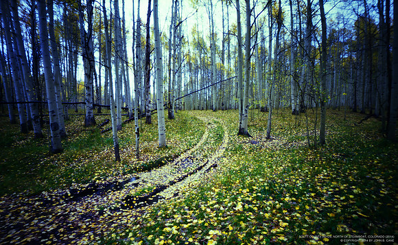 Routt County Rd. 129 North of Steamboat Springs, Colorado (2014)