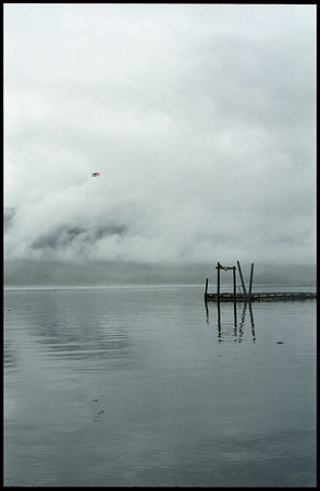 Floatplane and Dock, Scow Bay, Petersburg, Alaska (1984)