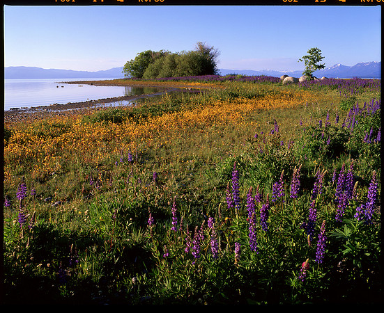 Lake Tahoe, California