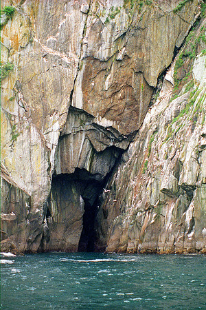 Kenai Fjords National Park-Seward, Alaska