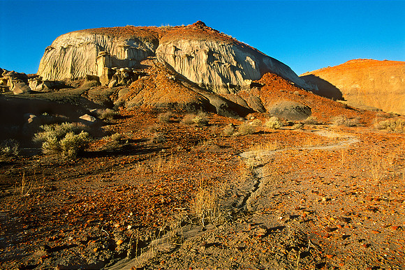 Bisti/De-Na-Zin Wilderness, New Mexico (2016)