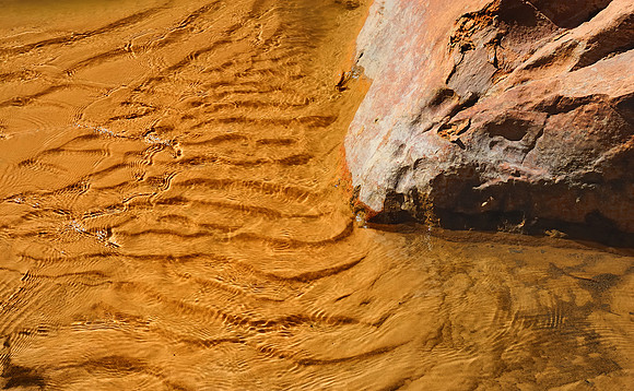 Virgin River, Zion National Park