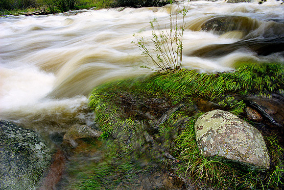Rocky Mountain National Park, Colorado (2014)