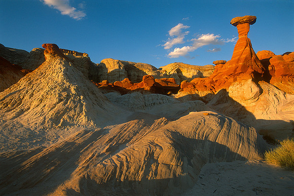 Toad Stools, Grand Staircase - Escalante National Monument, Utah