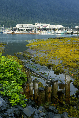 Scow Bay, Petersburg, Alaska (1984)