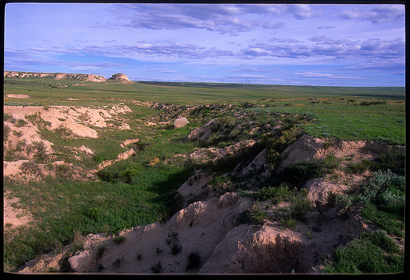 Pawnee National Grasslands, Colorado (2010)