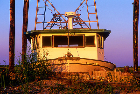 Irish Bayou, Louisiana  (2010)