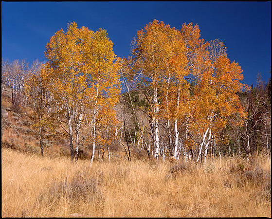 Routt County, Colorado