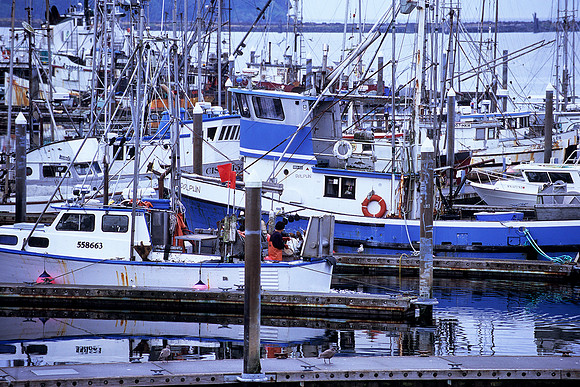 Neah Bay, Washington (2011)