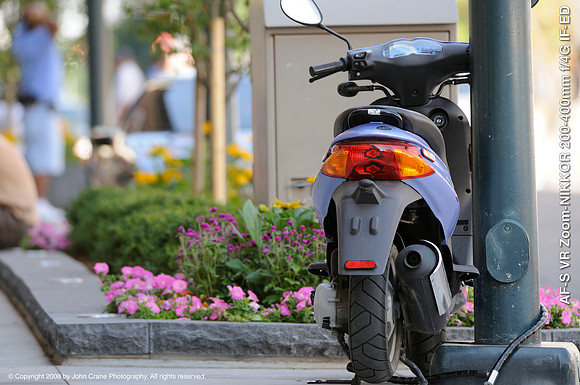 Nikkor 200-400VR/f4 sample image