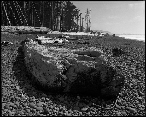 Olympic National Park, Washington