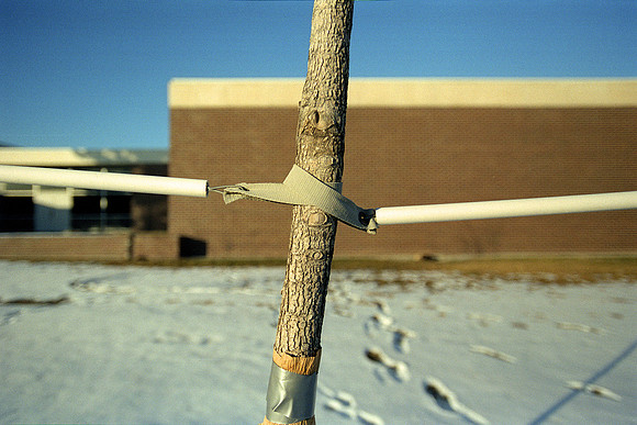 Longmont, Colorado (2013)