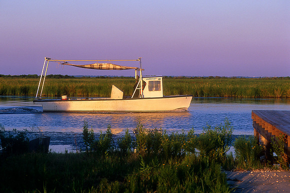 Irish Bayou, Louisiana  (2010)