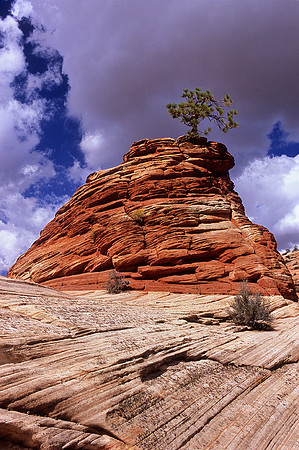 Zion National Park, Utah (2008)