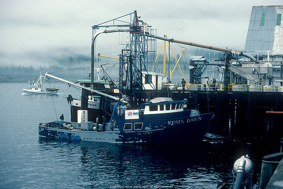 Petersburg, Alaska (1984)