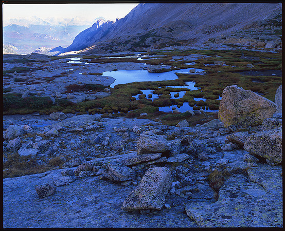 Glacier Basin Meadow, RMNP, Colorado (2011)