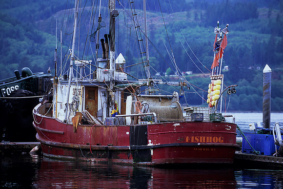 Neah Bay, Washington (2011)