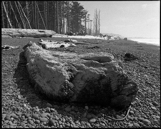 Rialto Beach, Olympic National Park, 2011