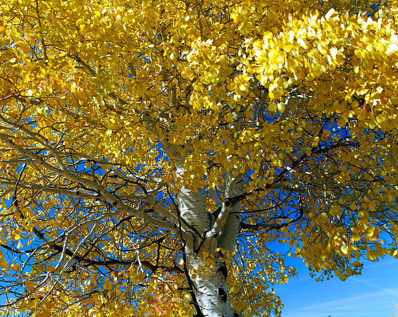 Routt County, Colorado