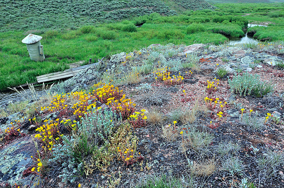 Gaging Station, Rock Creek SWA