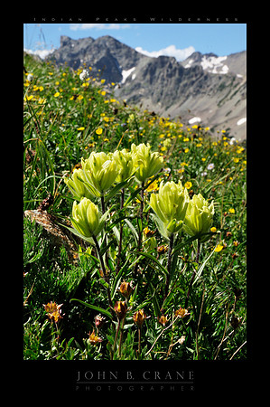 Indian Peaks Wilderness no.2