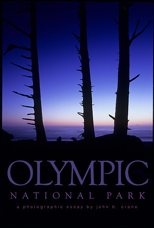 OLYMPIC NATIONAL PARK Print