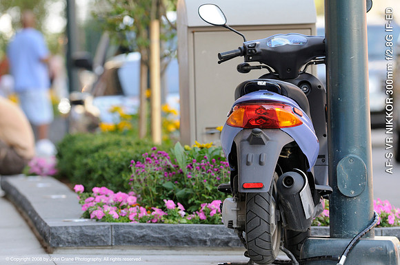Nikkor 300mm/f2.8 sample image