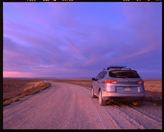 Red Desert