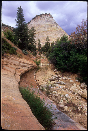 Checkerboard Mesa, Zion National Park