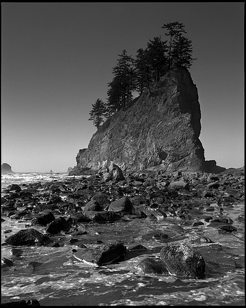 Second Beach, Olympic National Park, 2011