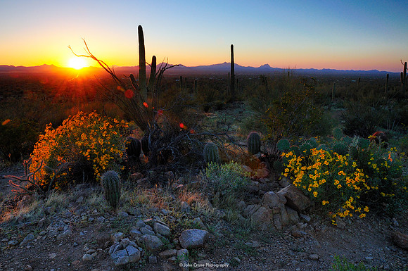 Saguaro National Park, Arizona