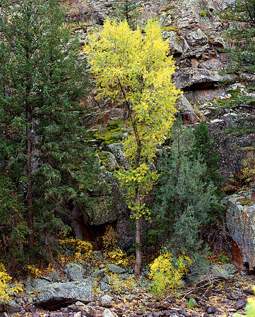 Cache la Poudre Canyon, Colorado