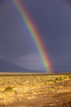 Somewhere in Nevada (2009)