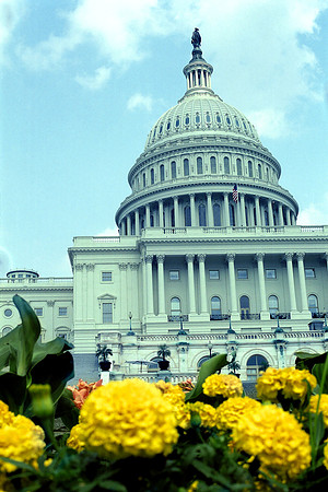 Washington, DC (2011)
