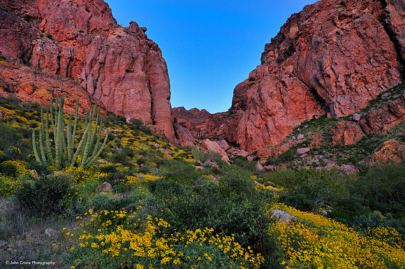 Organ Pipe Cactus National Monument, Arizona