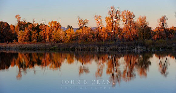 Loudy Simpson Park, Craig (2010)