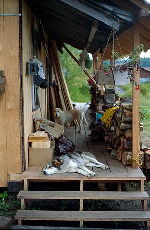 Alaska-Kupreanof Island 1984