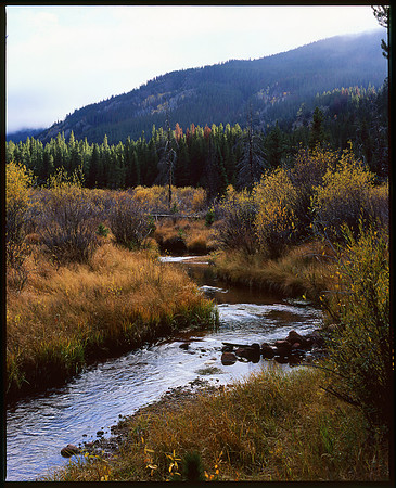 Laramie River , Cache la Poudre Canyon, Colorado