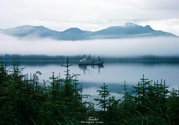 Tender, Inside Passage, Alaska (1984)