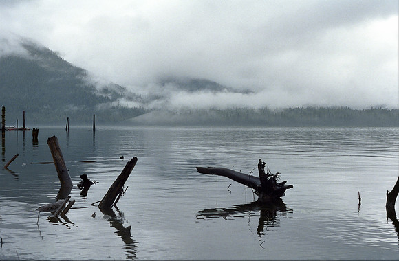 Scow Bay, Petersburg, Alaska (1984)