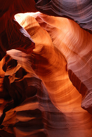 Antelope Canyon and Log