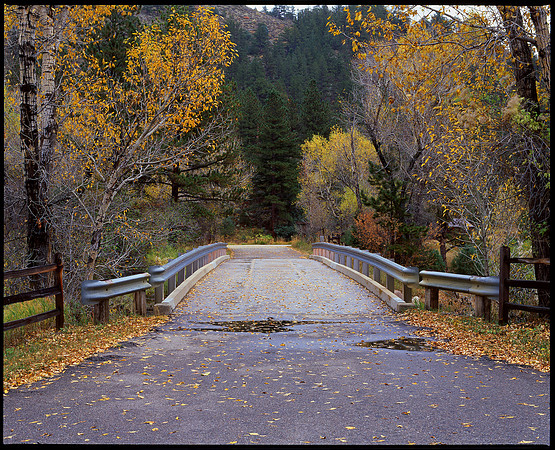 Cache la Poudre Canyon, Colorado