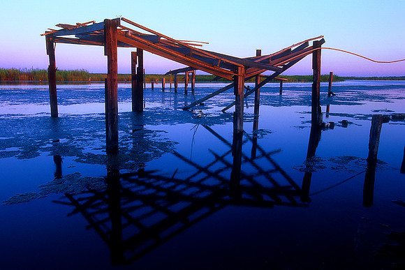 Irish Bayou, Louisiana  (2010)
