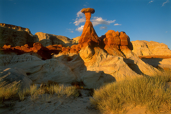 Toad Stools, Grand Staircase - Escalante National Monument, Utah