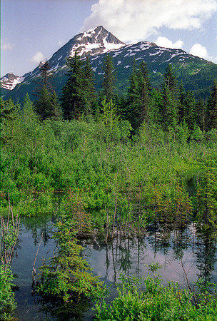 Kenai Peninsula-Alaska (1992)