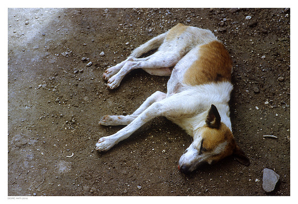 Desiré, Haiti (2013)